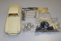 342 America - ch. 0242 AL FASSIO  - [in stock]