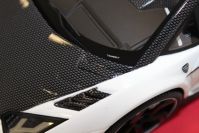 Mansory 2014 Mansory Mansory Carbonado GT - WHITE / CARBON - #01 - White / Carbon